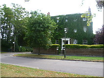 TQ1771 : Ivy-covered house in Ham Street by Marathon