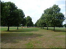 TQ1771 : Avenue of trees on Ham Common by Marathon