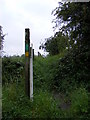 Footpath to School Lane, Halesworth & the B1123 Chediston Road