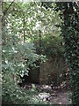 Old railway bridge (with part upper-work) over Mannington Brook, West Moors