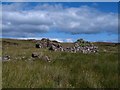 NR3047 : Settlement ruins on the hillside by Gordon Hatton