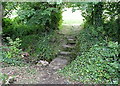 Stream crossing at Nanceddan