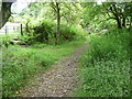 Footpaths below Kittlehill