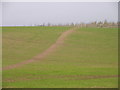 Bridleway near West Layton