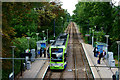 Tram at Morden Road