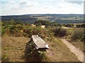 Bench and Viewpoint on Loxley Edge