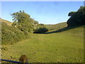 Fields near Huccombe