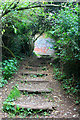 Wooden steps and a graffitied wall