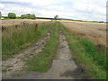 Farm track off the A1084