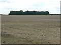 Farmland near Wootton