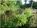 Water channel in Priory Gardens, Orpington