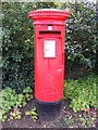 Warren Hill Road Postbox