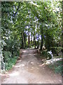 Footpath to Broomheath