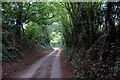 Side Road To Abbots Bromley