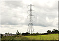 Pylon and power lines near Dromore (1)