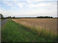 Swinderby Road and harvested field