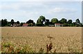 Camille Cottage, B1058, Castle Hedingham