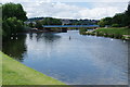 A solitary rower on the Exe