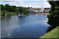 The River Exe by Haven Road