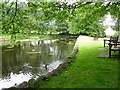 Benches by the mill pond, New Abbey