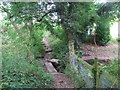 Two paths by the stream above Gretton