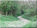 Muddy path, Churchdown Hill