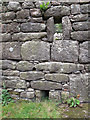 SX6979 : Walling details at Challacombe by Stephen Craven