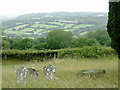 View across Dyffryn Aeron, Ceredigion