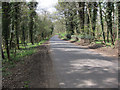 Road around Cavenham Park