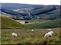 Coquetdale near Barrow from Clennell Street