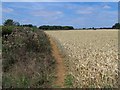 Footpath To Desborough