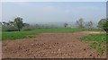 Corvedale grassland