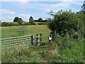 Footpath Near Desborough