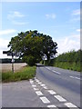TM2449 : Hall Farm Road, Great Bealings by Geographer