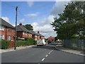 Landseer Mount - viewed from Landseer Crescent