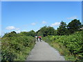 Wirral Way looking north