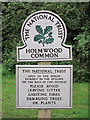 Holmwood Common sign