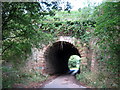 Blackwell Road Approaching the Lickey & Blackwell Parish Boundary