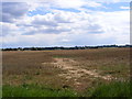 Footpath to the Fynn Valley Walk