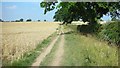 Footpath to Old Milverton