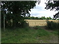 Footpath To Westthorpe Lodge Farm