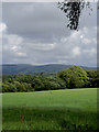 SN6156 : Pasture and woodland north-west of Olmarch, Ceredigion by Roger  D Kidd