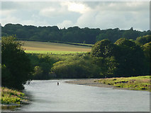 SD5770 : Fishing the Lune near Gressingham by Karl and Ali