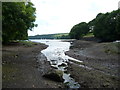 Pill at Low Tide