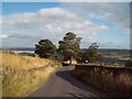 Lane above Holdworth