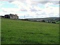 Pastures below Viewley