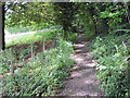 Footpath from Twyford to Hensting Lane