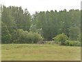 West Berkshire : Grassy Field & Trees