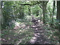 Footpath towards Mortimers Lane