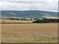 Stubble near Laurencekirk